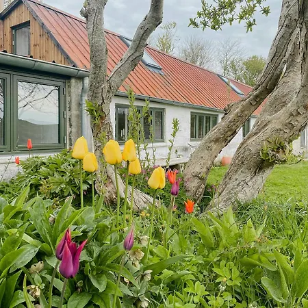 Hébergement de vacances Artist's House With Soul Near Hanklit *