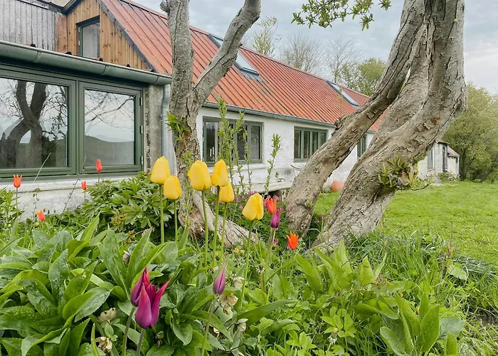 Holiday home Artist's House With Soul Near Hanklit *